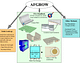 Fracture Mechanics Sim Apps: Sample Visual Basic Application