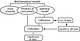 Model Development in the Engineering Sciences